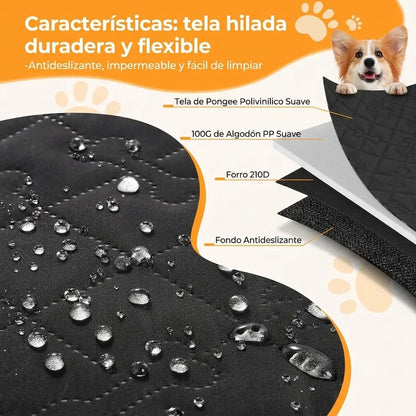 Funda Dargonim | Protectora Asiento y Antiestrés
