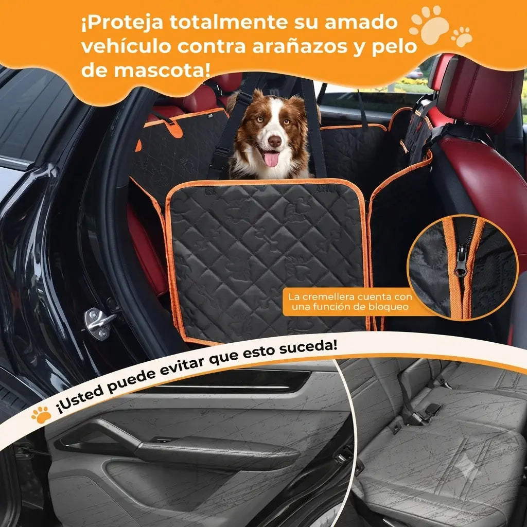Funda Dargonim | Protectora Asiento y Antiestrés