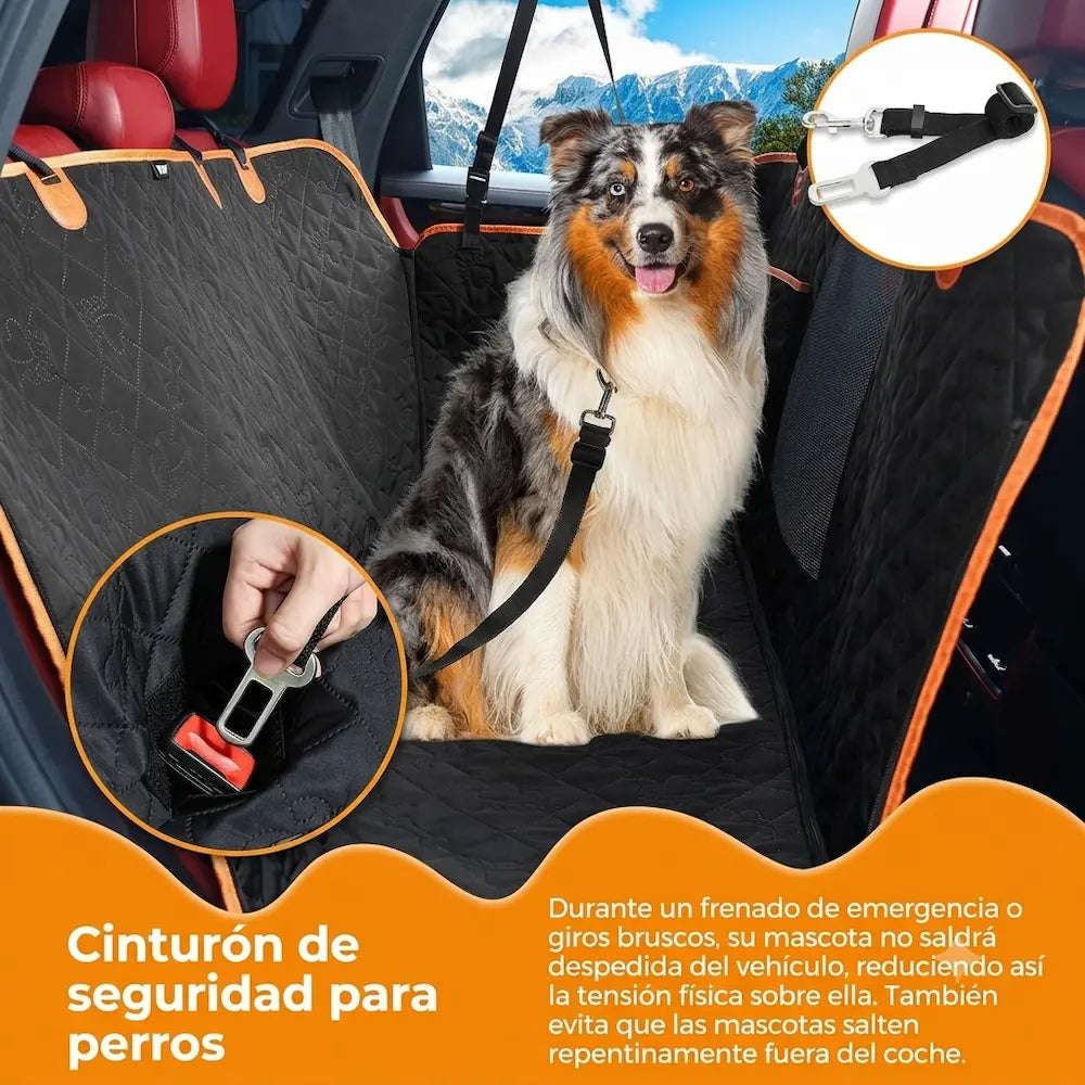 Funda Dargonim | Protectora Asiento y Antiestrés