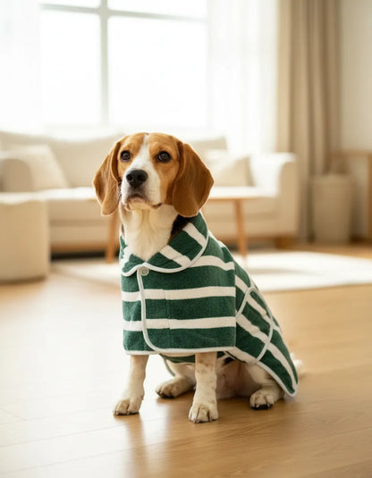 Talla M del Albornoz Dargonim en un Beagle