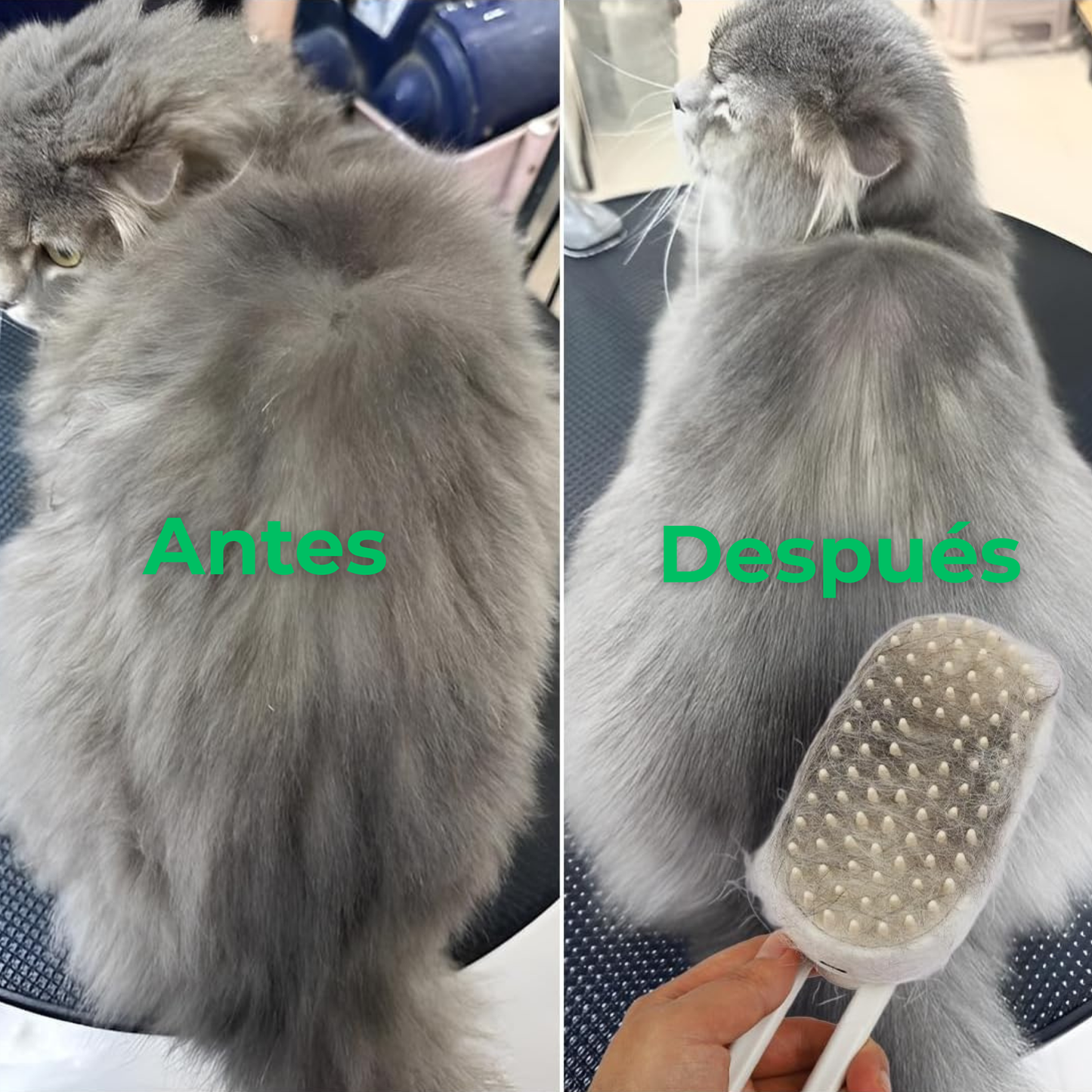 Cepillo Quitapelos Vaporpel